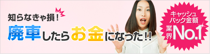 知らなきゃ損!廃車したらお金になった