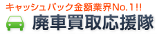 �p�Ԕ��扞����